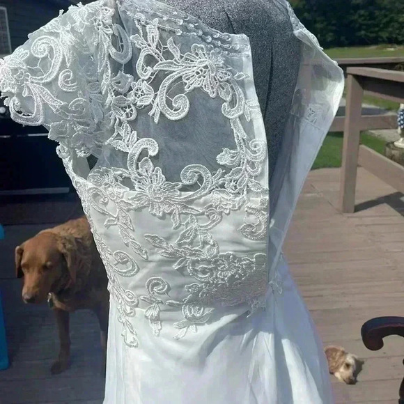 Wedding dress. Size 10. Seems to run small. - Picture 7 of 12